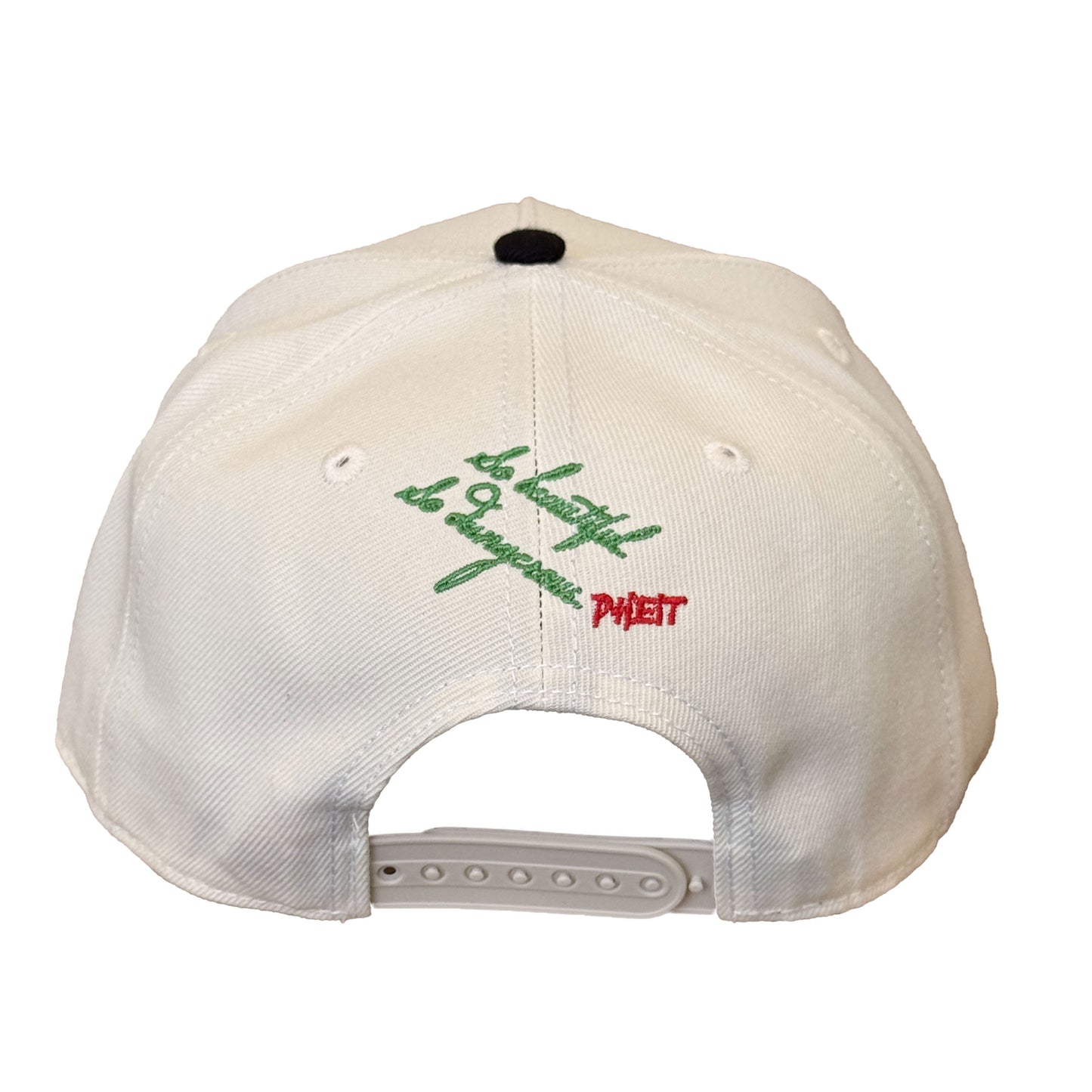 SBSD FREE Flag cap (Cream)