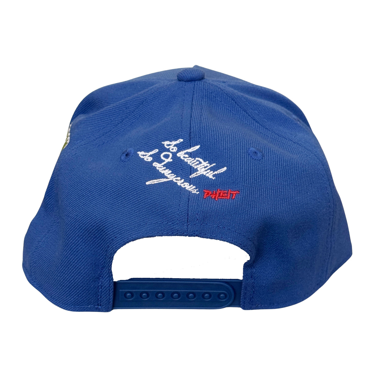 SBSD Philly cap (royal)