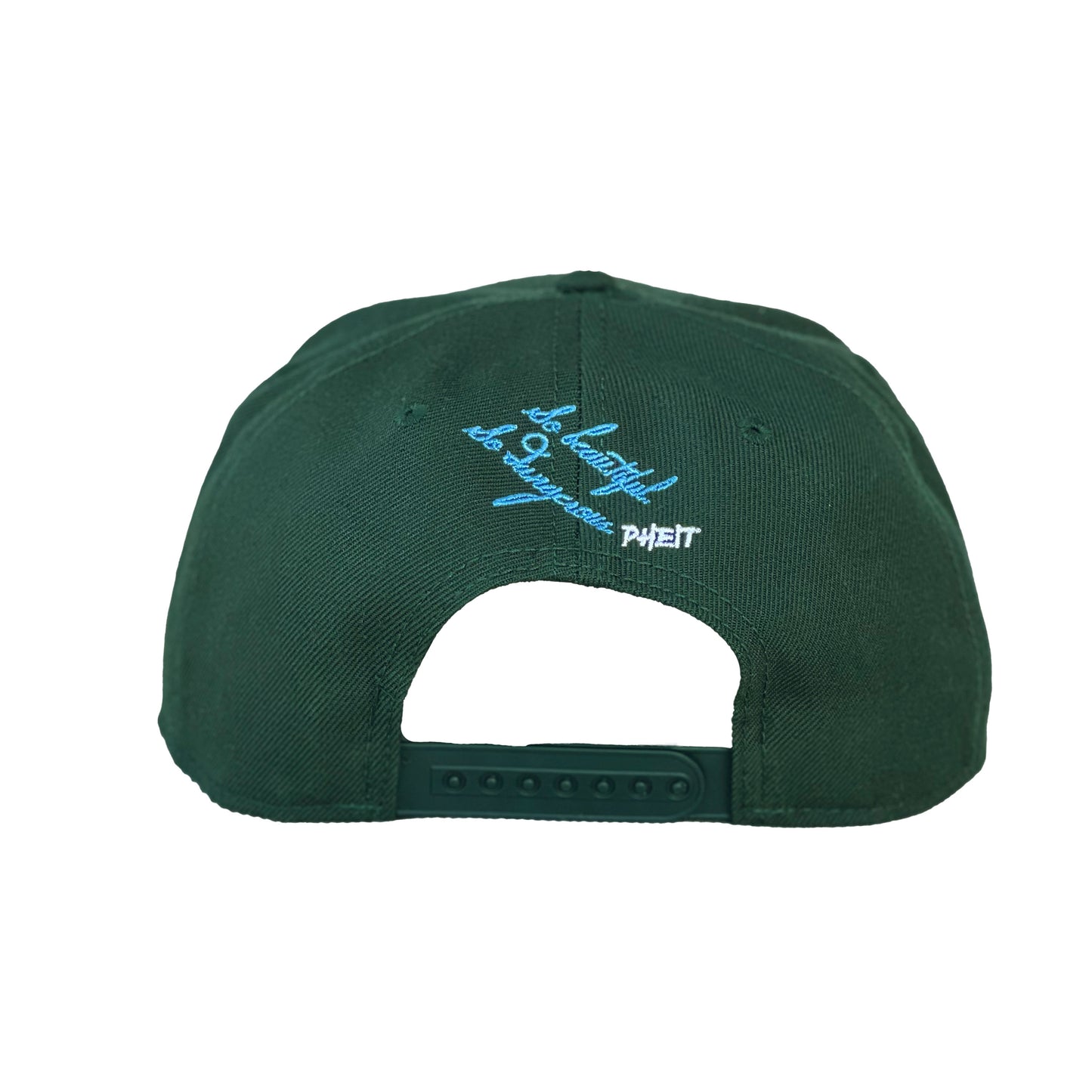 SBSD Peace Cap (earth)