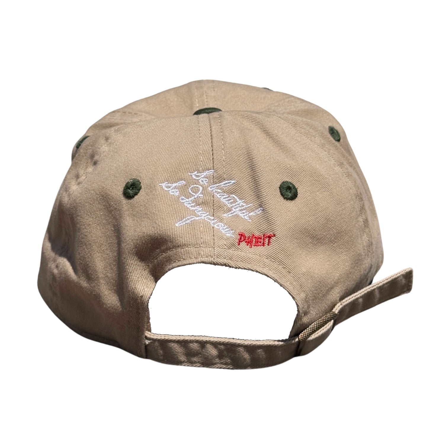 SBSD So "FREE" dad cap (2 tone)