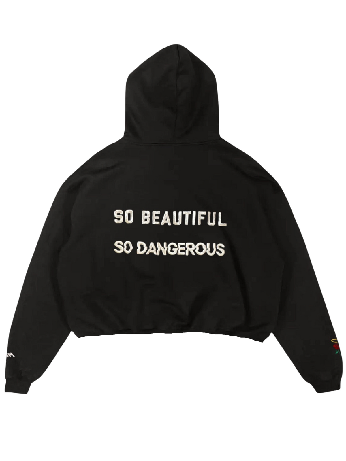 The SBSD Hoodie (cropped sample)