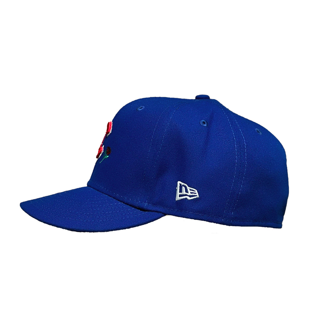 SBSD Custom Cubs Fitted