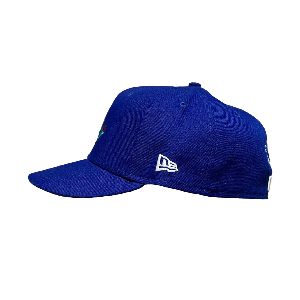SBSD Custom Dodgers Fitted