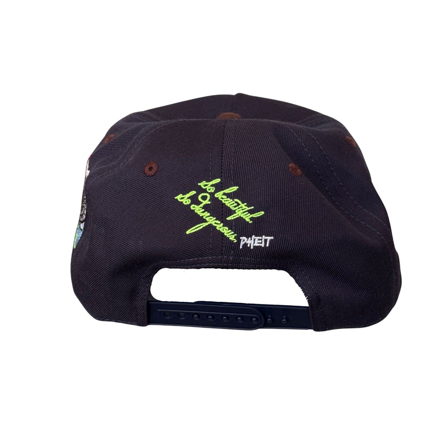 SBSD Seattle cap (cortado)