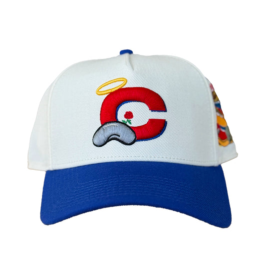 SBSD Chicago (blue raspberry)